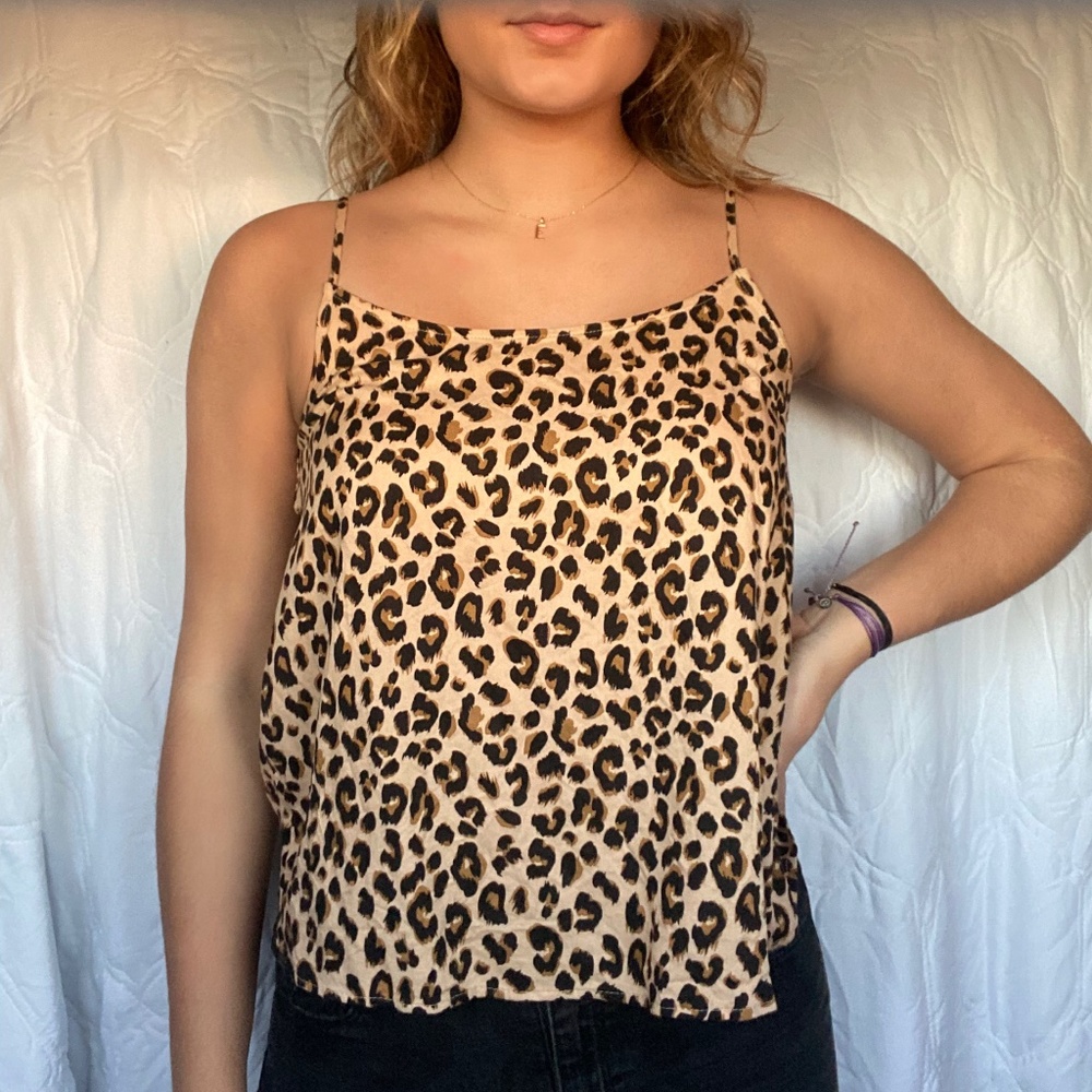 Cheetah tank
